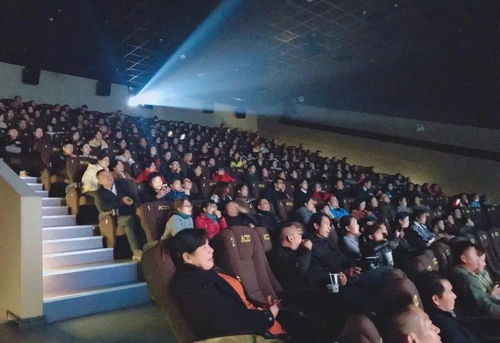 安陆多类场所恢复开放，市民生活逐步回归常态